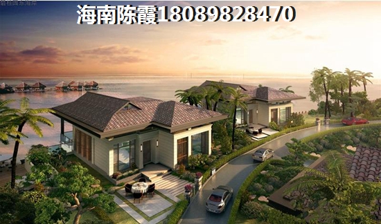 河南商丘未来发展前景及touzi分析？