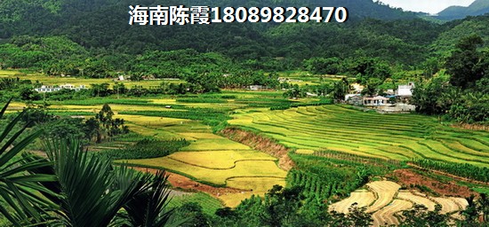 商丘为什么房价死扛不跌？